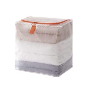 Large capacity transparent storage bag